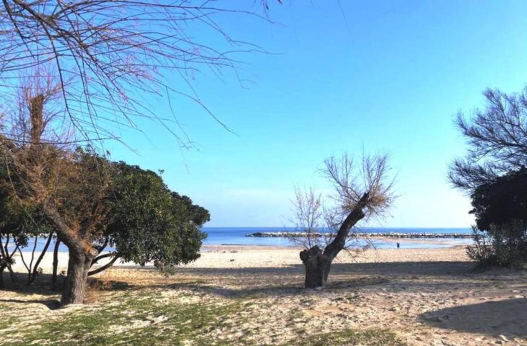 דירות בארי Dimora Mare מראה חיצוני תמונה